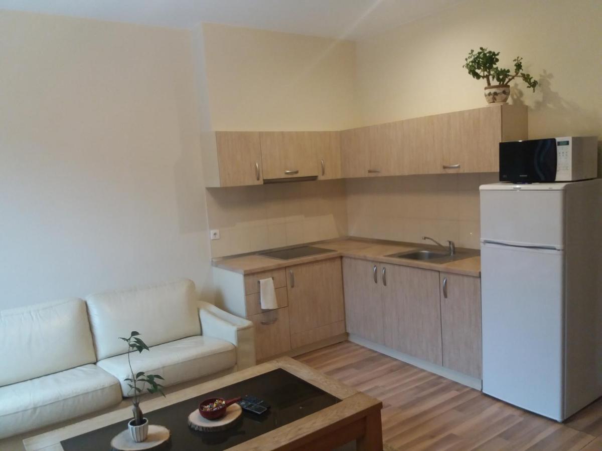 Simkaus str. apartment - Housity