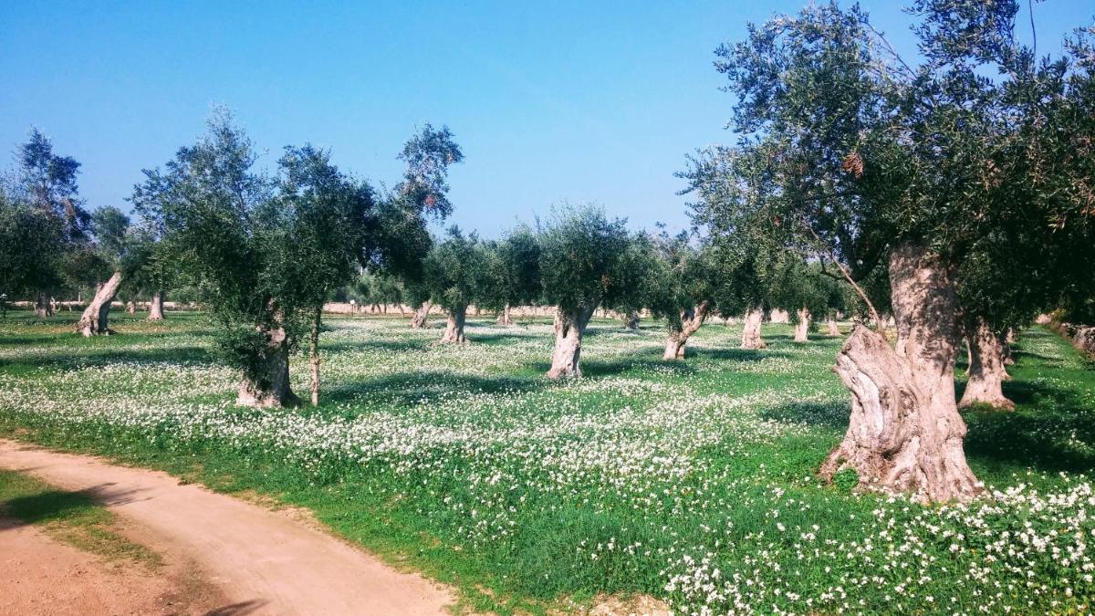 Suitetrails - Masseria Cataldo