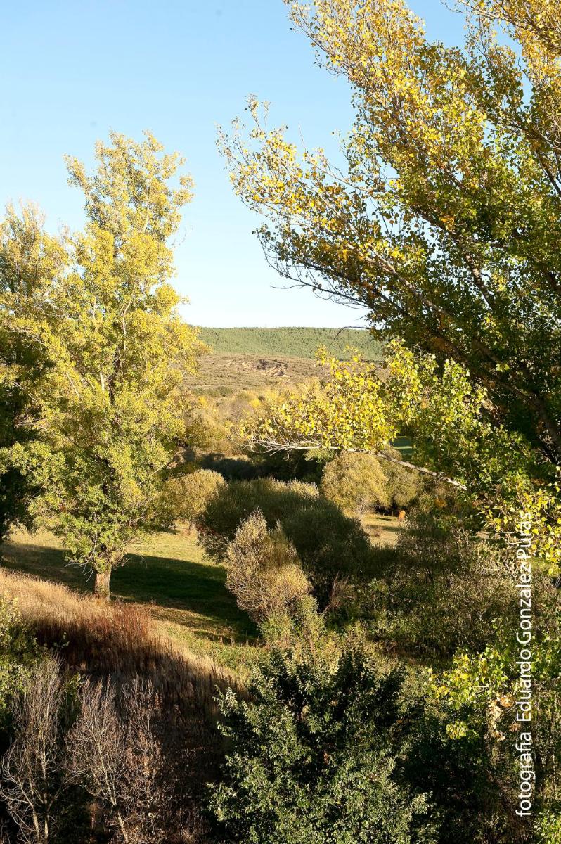 Rural house in the mountain of Leon - Housity