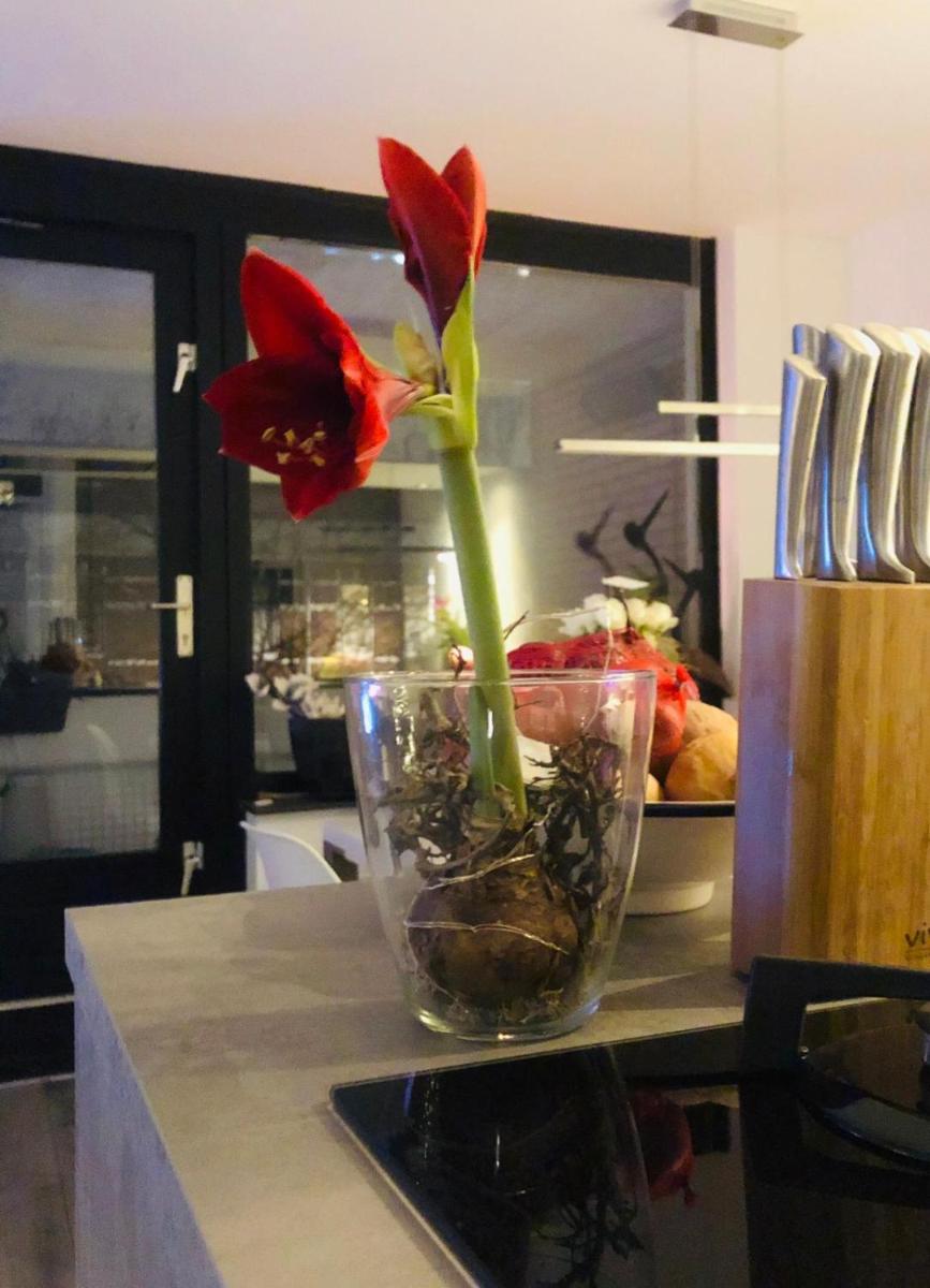 Modern House Rotterdam (MHR) - Housity