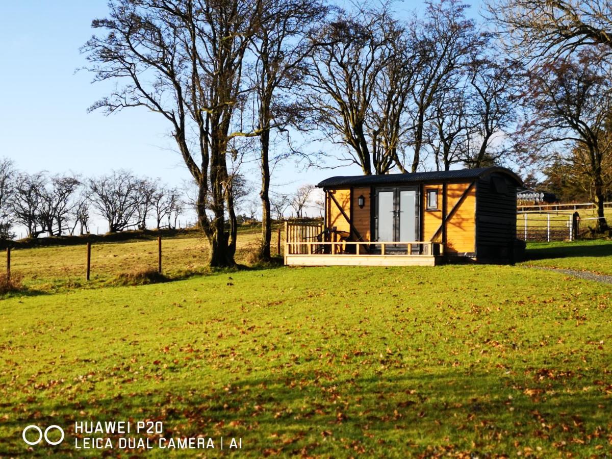 Pen-Rhos luxury glamping 