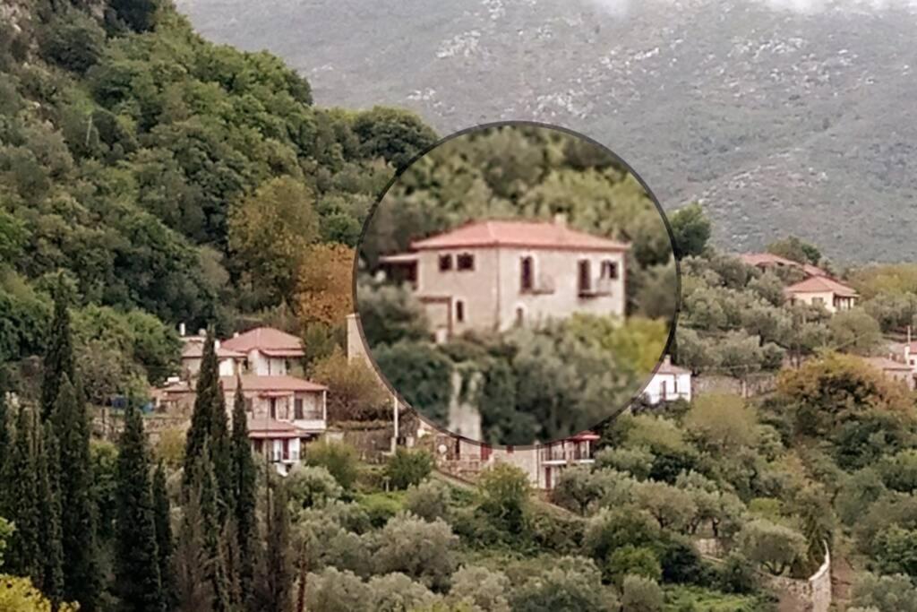Levantes Mansion - Housity