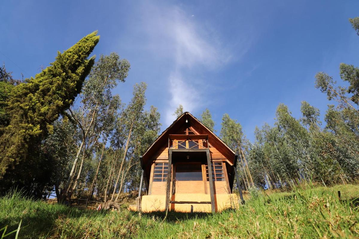 Tuwa Shima Mountainside Cabin - Housity