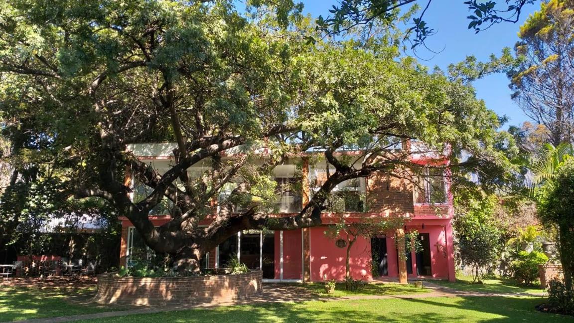 Casa Amor - Housity