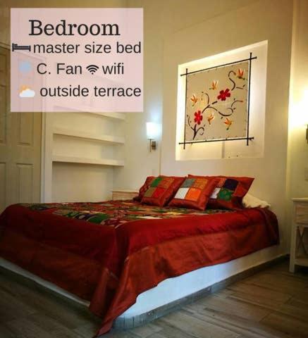 Casa Amor - Housity