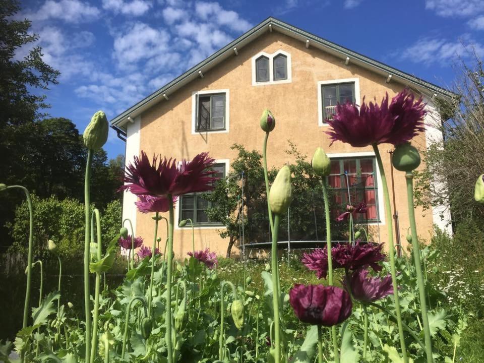Baggå Skola BnB & Café - Housity
