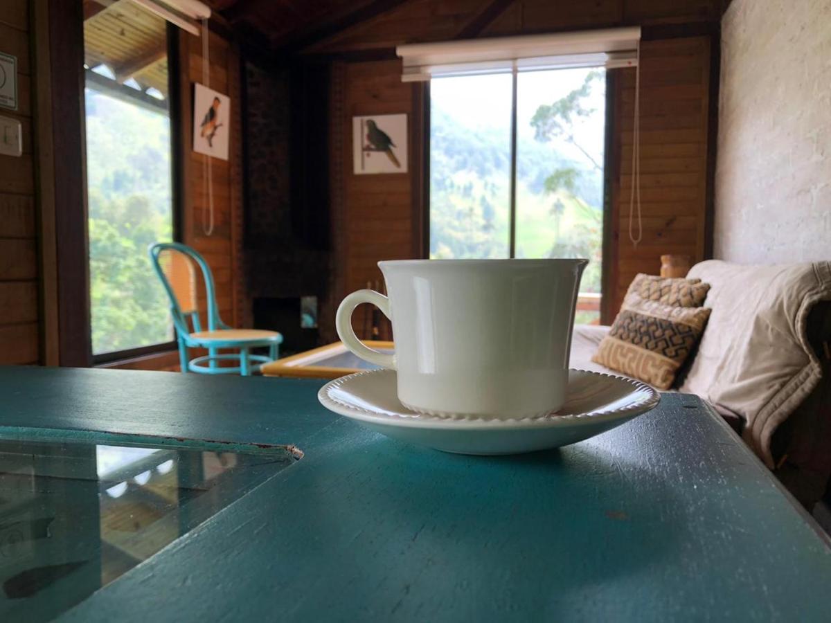 Cabañas Valle del Cocora La Truchera - Housity