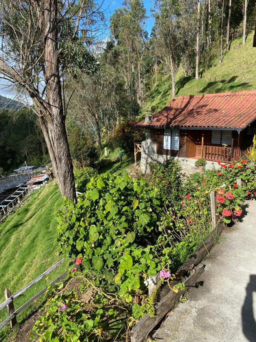 Cabañas Valle del Cocora La Truchera - Housity