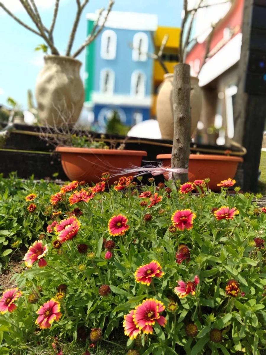 Suitetrails - Fei Le Mi Xing Kong Homestay