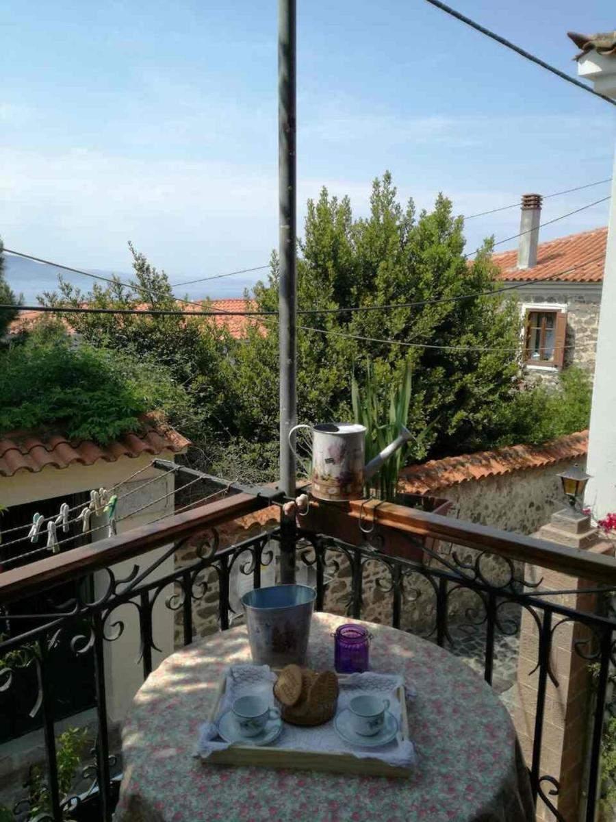 Machi's Guest House - Housity
