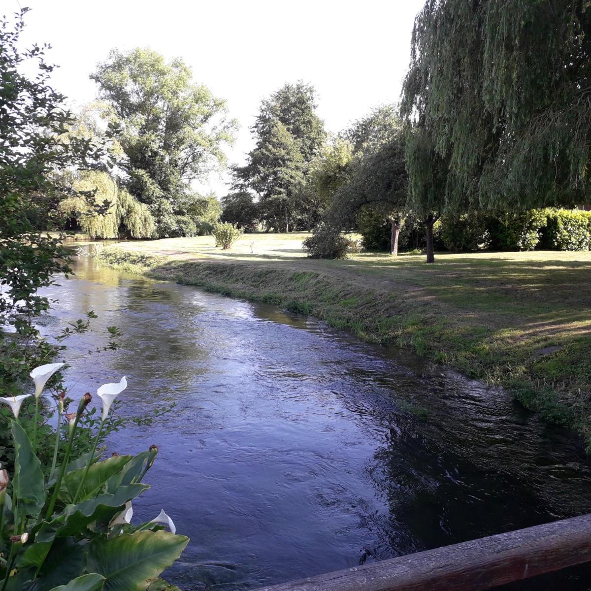 LES ENFANTS DU MOULIN - Housity