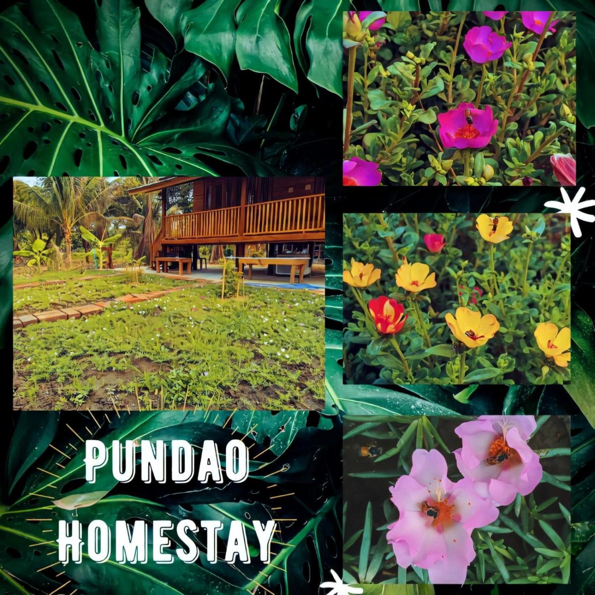 Pundao homestay - Housity