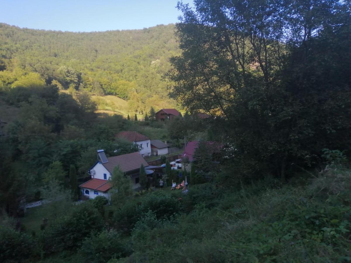 Casa Andreea - Housity