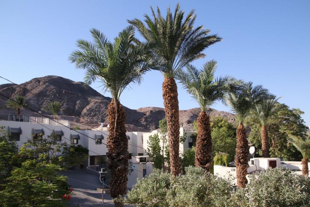 SPNI Eilat Field School - Housity
