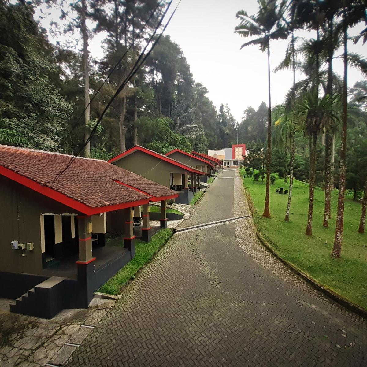 Surya Hotel & Resort - Housity