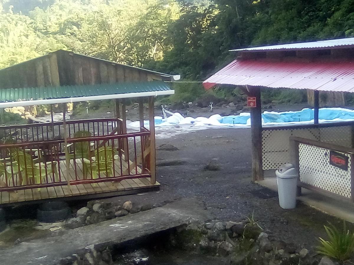 Natty Tropical Valley - Housity
