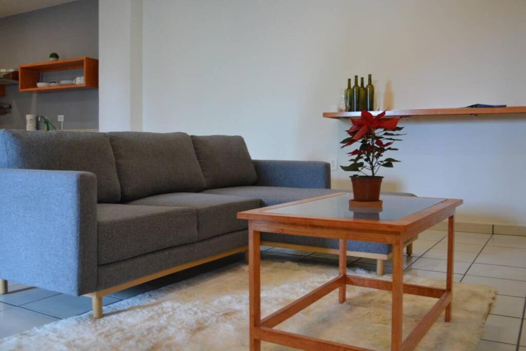 Suitetrails - Departamento Ilustre