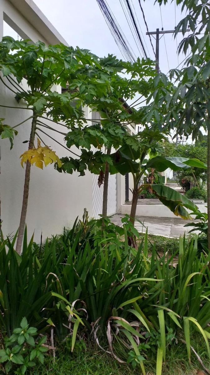 Arapiri Guest House - Housity