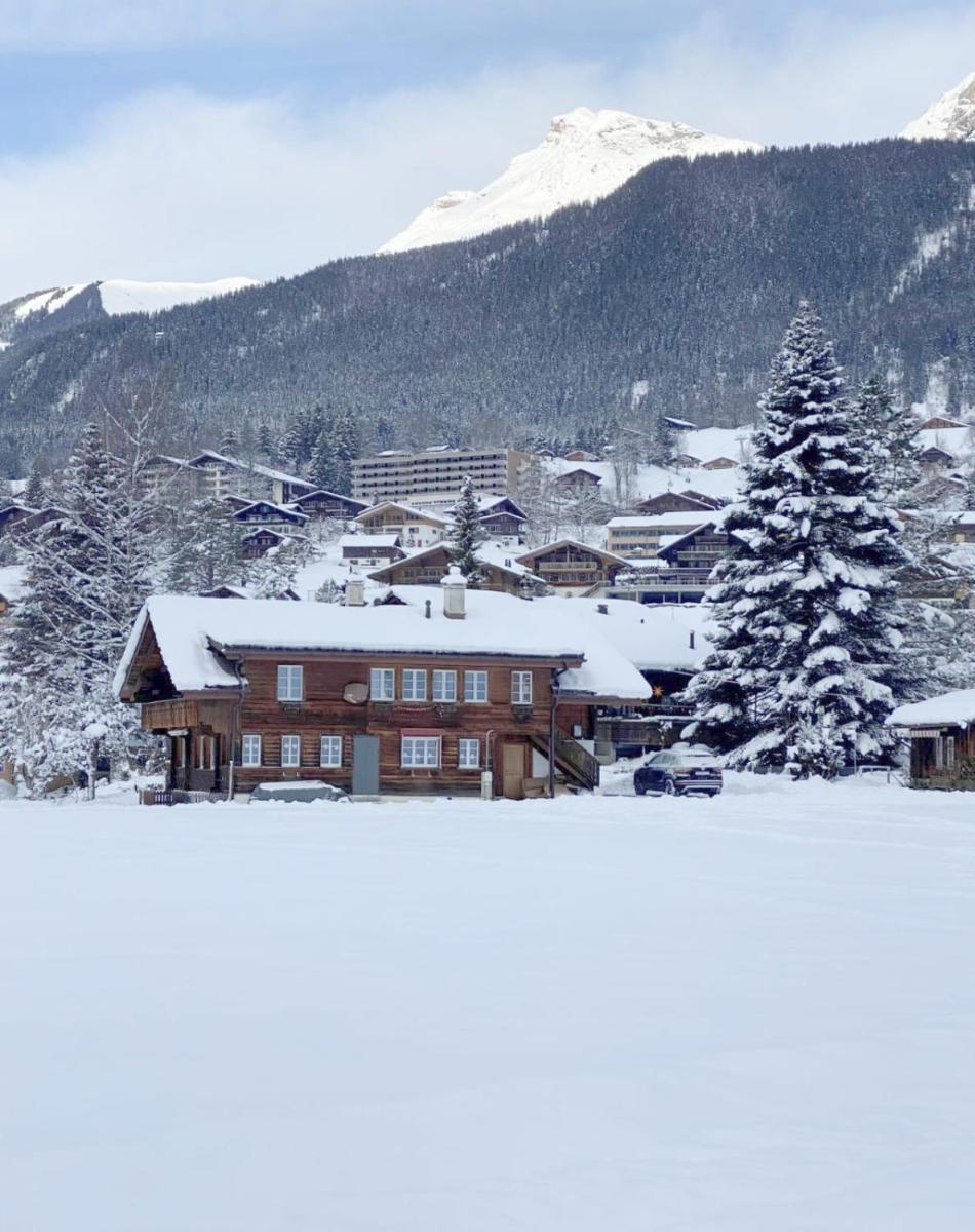 Comfortable chalet close to ski slopes - Housity