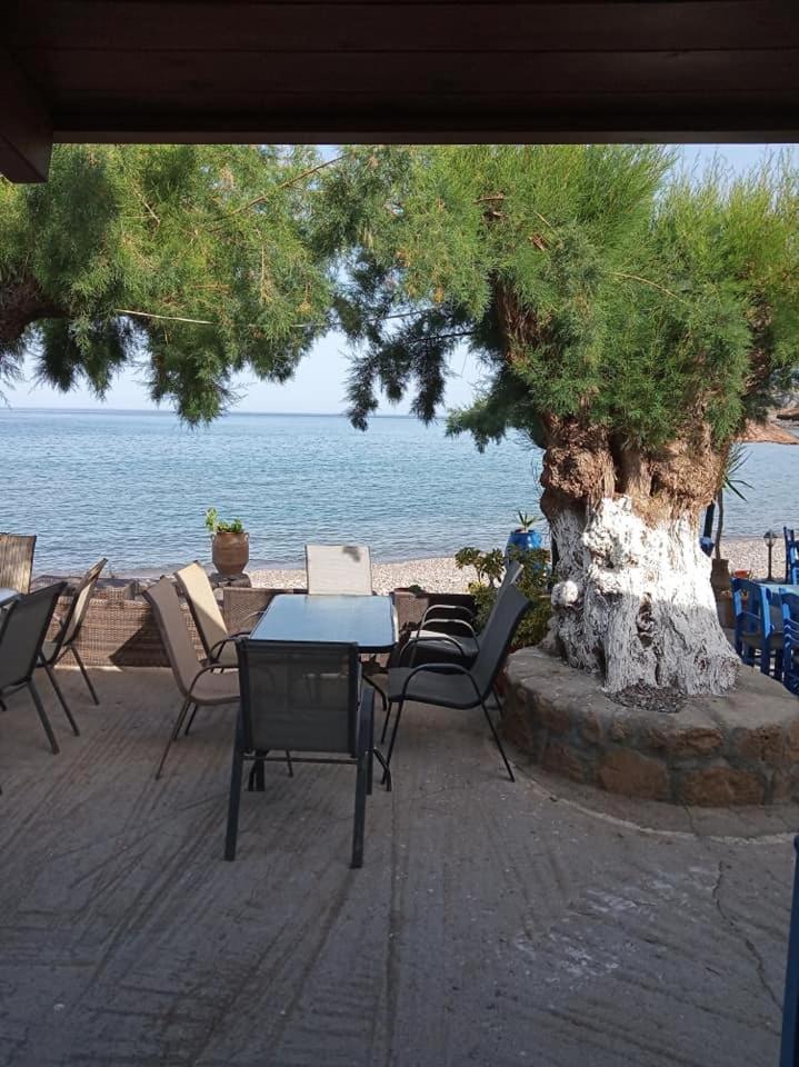 Suitetrails - Beach Front Kato Zakros