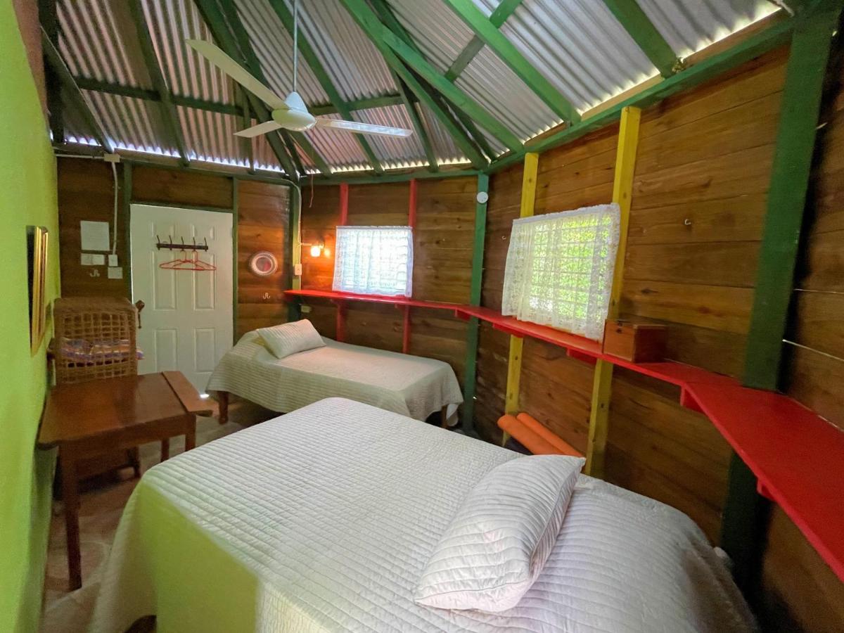 Judy House Backpacker Hostel - Housity