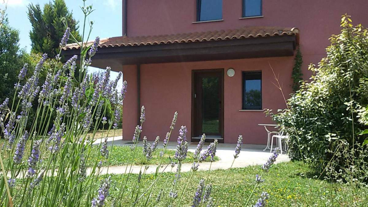 Lovely Cat's Apartamento - Housity