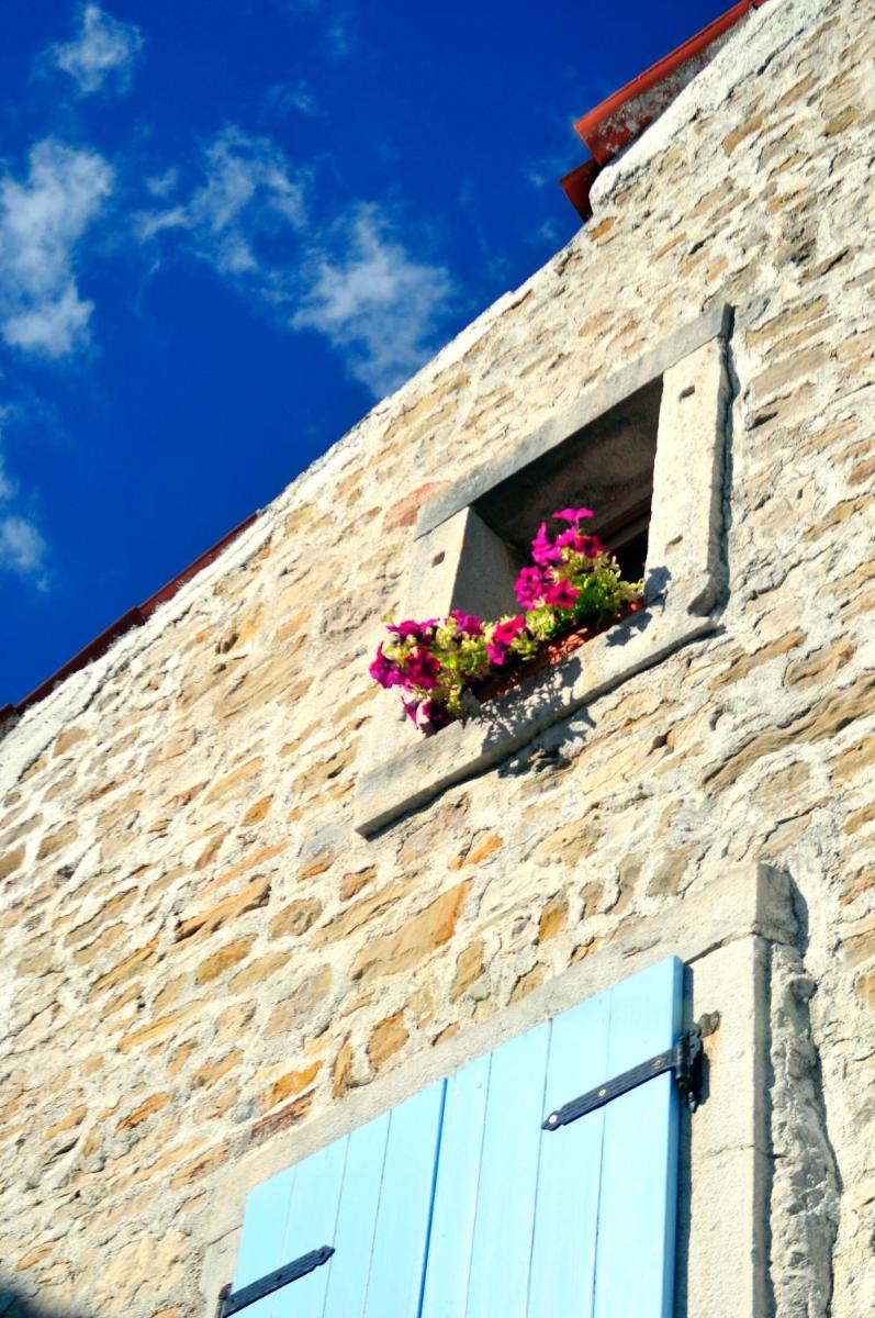 Ruine-Motovun KH - Housity