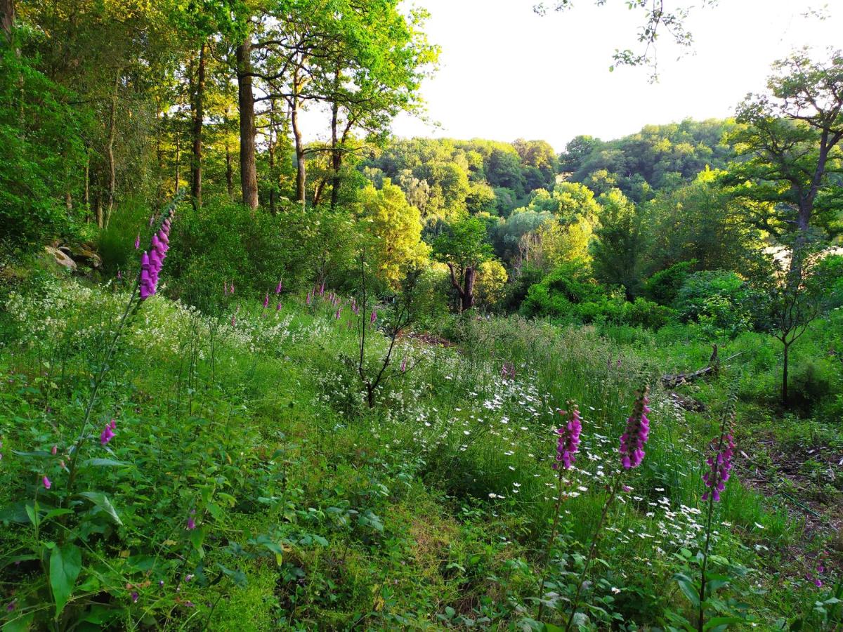 Suitetrails - Les gîtes des Beaux Chênes