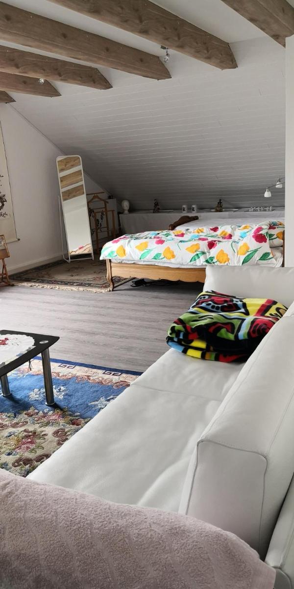 Suitetrails - Luxsus Dachwohnung in Weltkulturerbe Stadt Bamberg