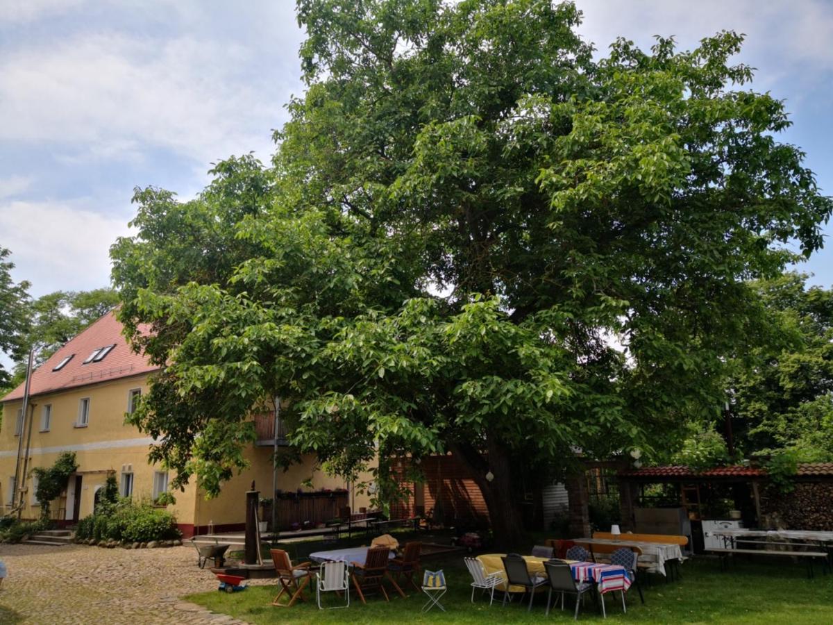 Gästehaus Liemehna - Housity