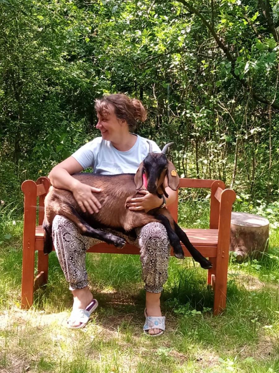 Siedlisko Pauza - Housity