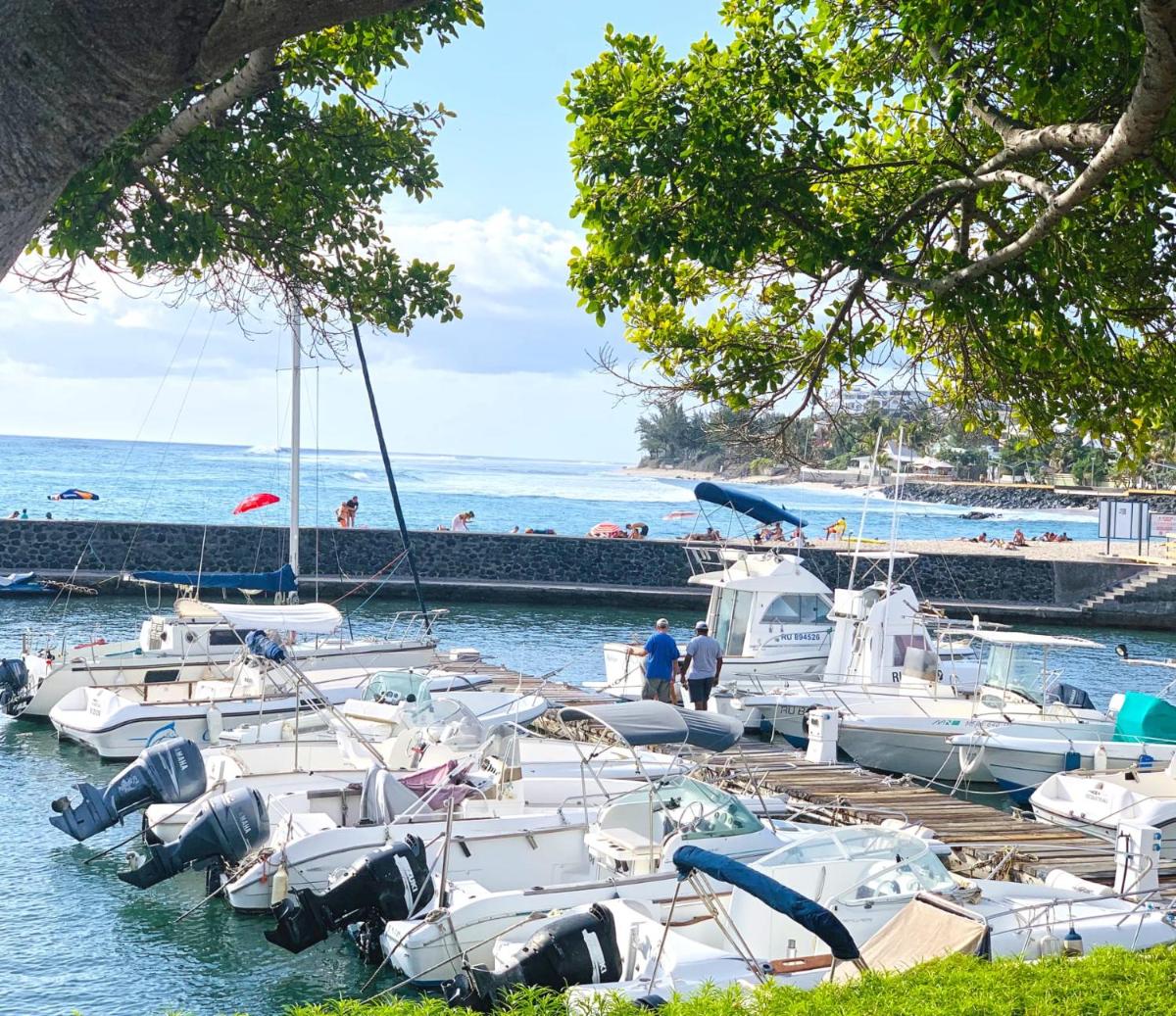 Résidence AU BORD DE L EAU Chambre privée DAUPHIN à Saint-Gilles-les-bains climatisée pour 2 personnes - Housity