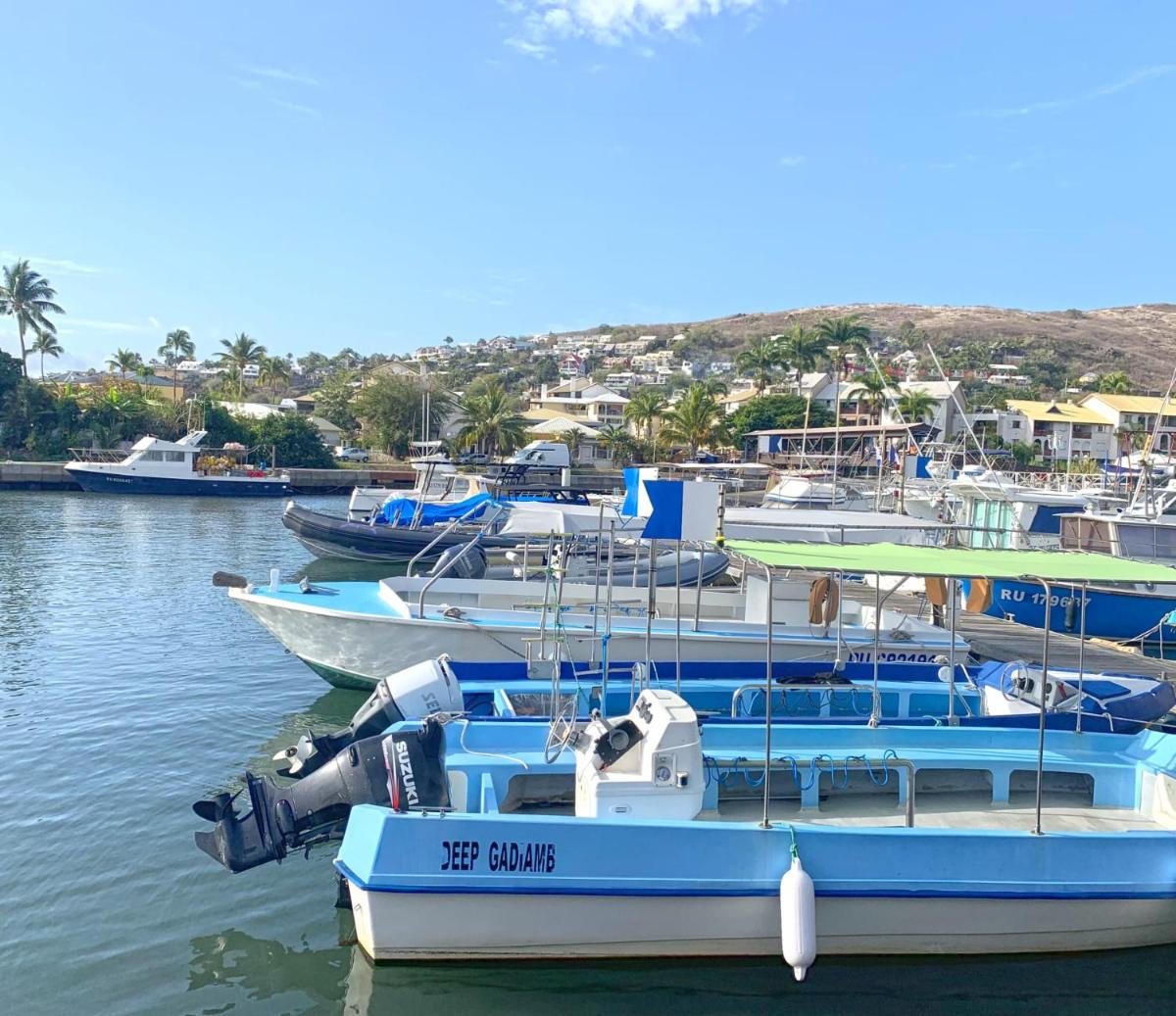 Résidence AU BORD DE L EAU Chambre privée DAUPHIN à Saint-Gilles-les-bains climatisée pour 2 personnes - Housity