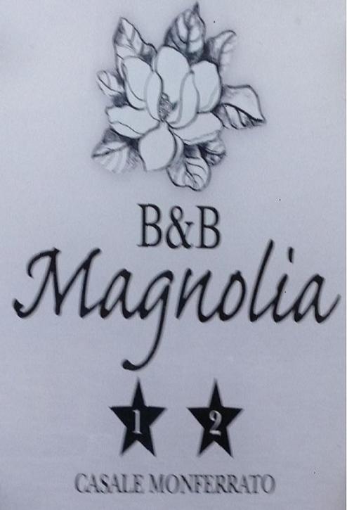 Magnolia - Hizvo