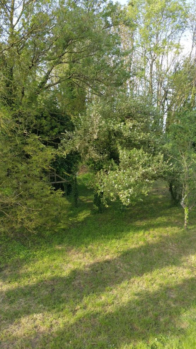 Suitetrails - AUX NOBLES ACACIAS
