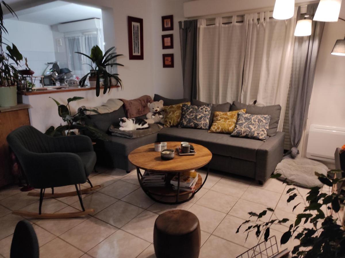 La maison de camargue - Housity