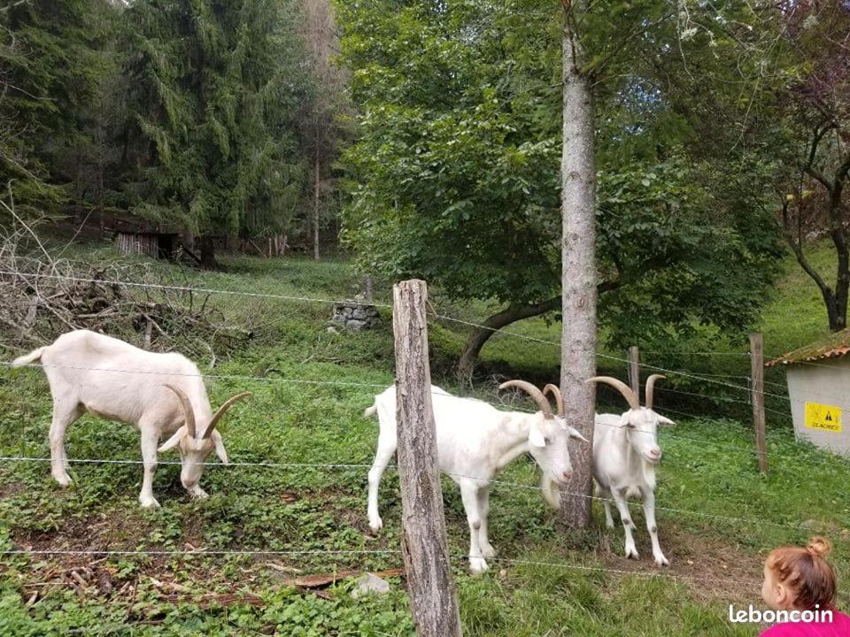 Suitetrails - Chalet douillet