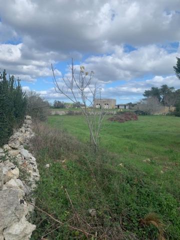 Villa Salentina - Housity
