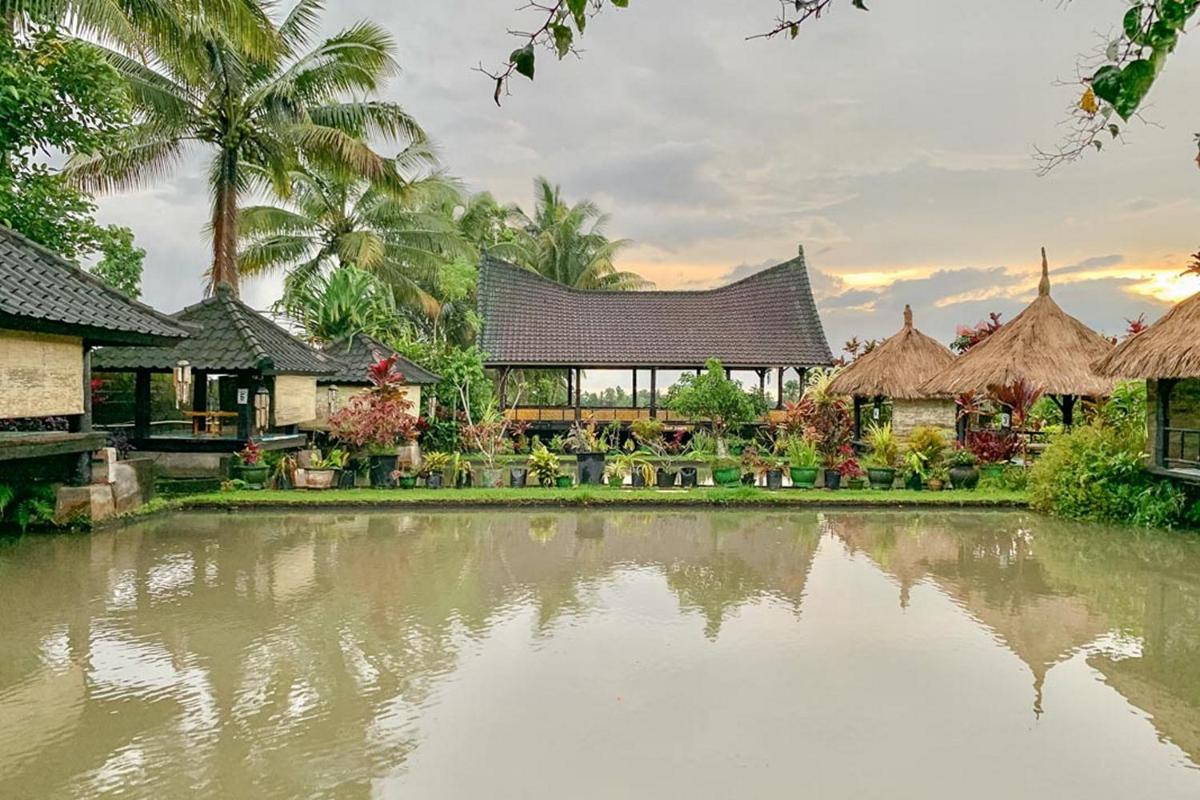 Lesehan Cahaya Tetebatu Inn Syariah at Desa Wisata - Housity