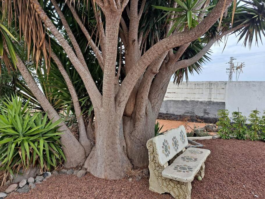 Suitetrails - Tenerife Apartment Dulcynea with terrace and garden 600m2 with ocean and Teide view