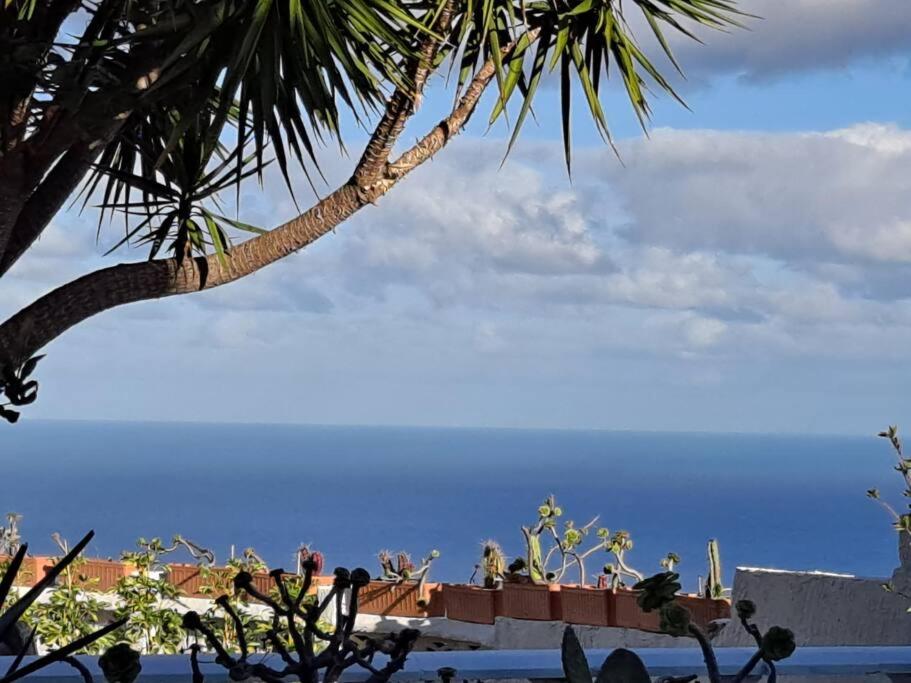 Suitetrails - Tenerife Apartment Dulcynea with terrace and garden 600m2 with ocean and Teide view