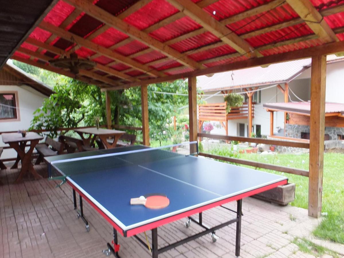 Pensiunea Piatra Mandrutului - Housity
