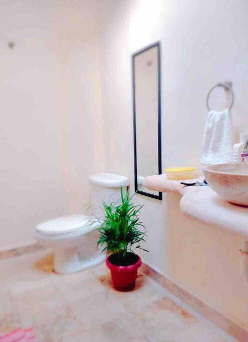Casa Brisa sol - Housity