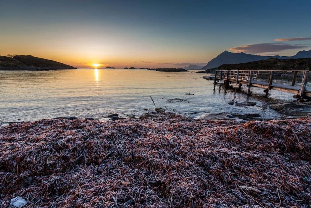 Suitetrails - Lofoten - New apartment, close to airport.