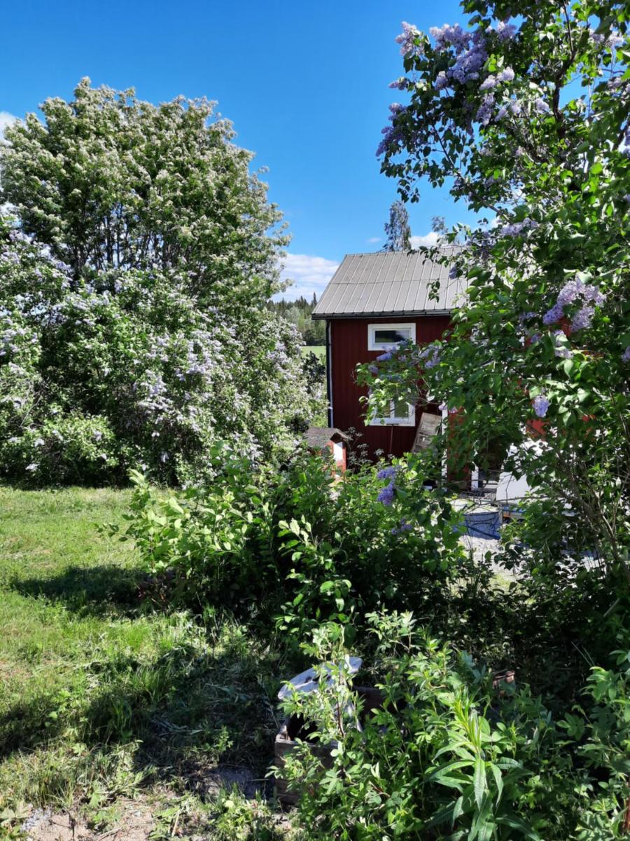 Trevlig Gård nära stad o vildmark. - Housity
