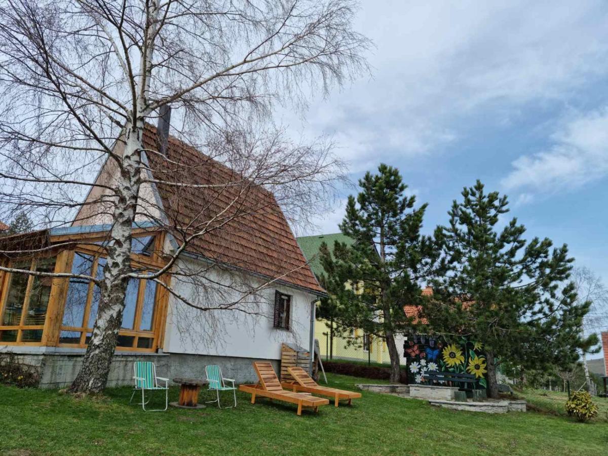 Holiday house Zmajevac (Tornik, Zlatibor) - Housity