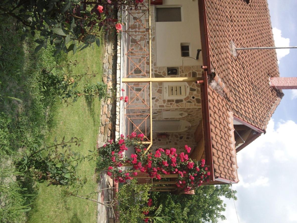 Suitetrails - Guesthouse Agnandi