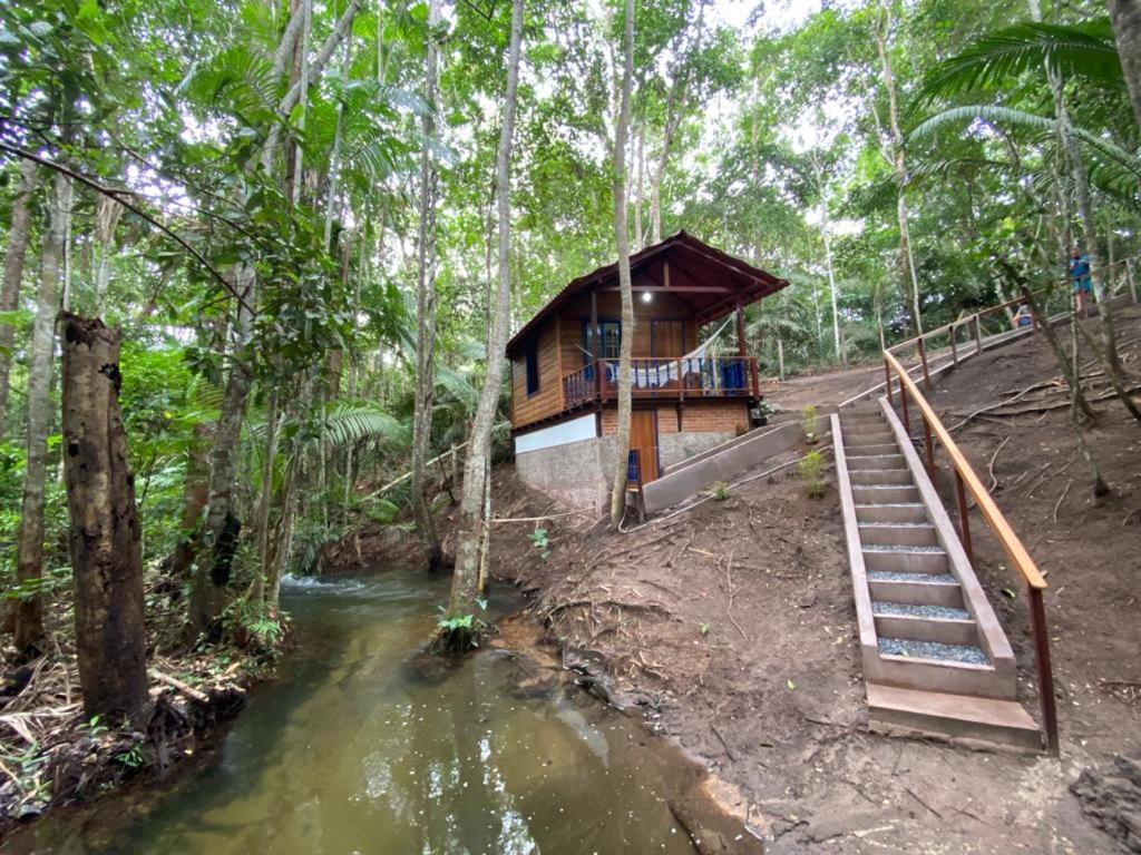 Chalé Trem da Mata - Housity
