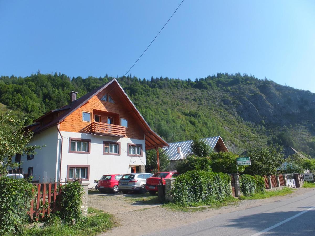 Pensiunea Piatra Mandrutului - Housity