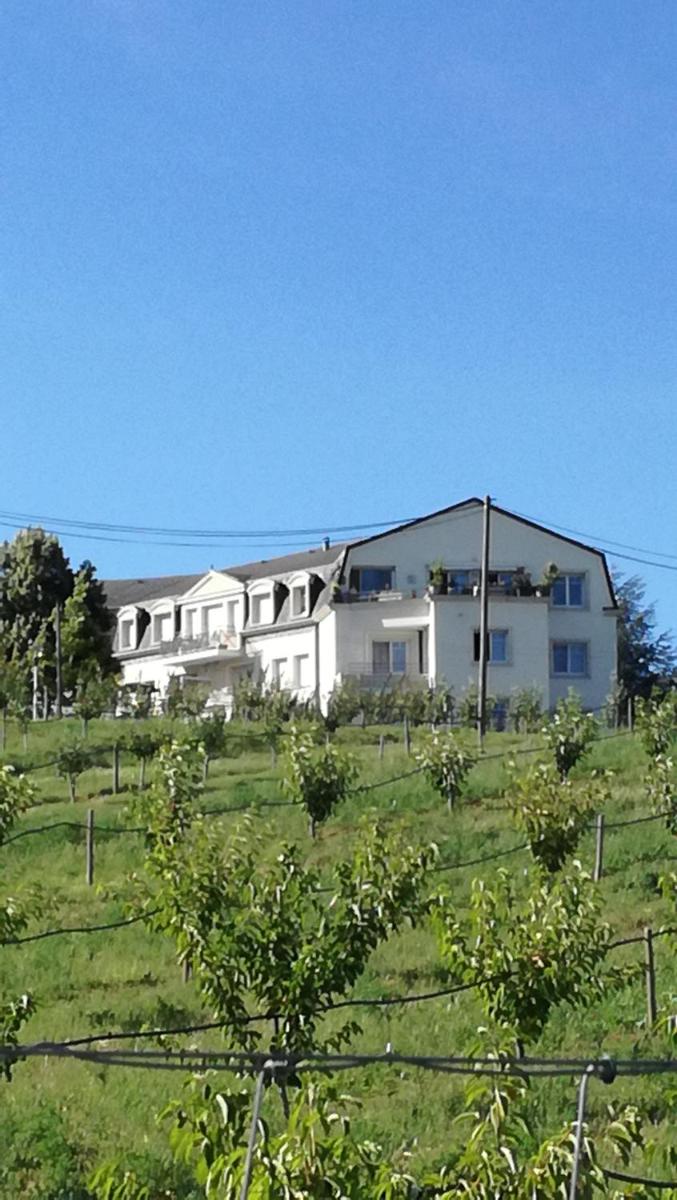 GÎTE PRÈS DE LA FERME - Housity